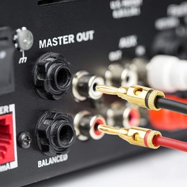 Lyaciomn 10 Pairs Banana Plugs - Open Screw Type for Speaker Wire, Home Theater, Wall Plates and More