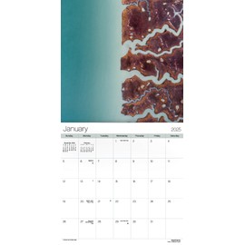 2025 Above it All Wall Calendar