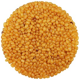 Smarty Stop Jelly Beans All Flavor Candies (Salted Caramel, 5 Pound (Pack of 1))