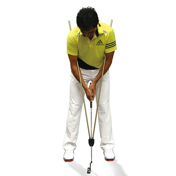 Daiya Golf TR-465 Putting Mat, Putting Practice Equipment, Diamond Propat Arm, Gold, 4.9 ft (1.25 m)