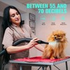 Pet Dryer, 5.2HP/3800W Pet Grooming with Adjustable Speed and Temperature