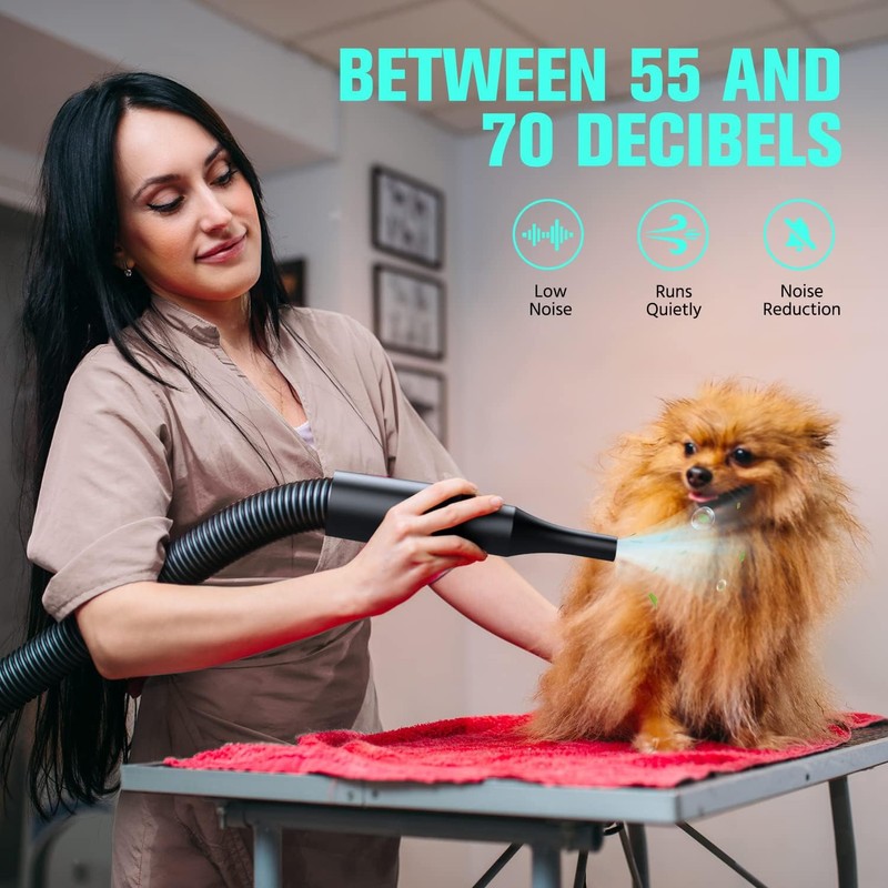 Pet Dryer, 5.2HP/3800W Pet Grooming with Adjustable Speed and Temperature