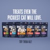 Whole Life Cat Just One Salmon Freeze Dried Cat Treats