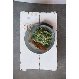 Creative Co-Op Embossed Leaf Shaped Tongs, 7-3/4" L, Gold