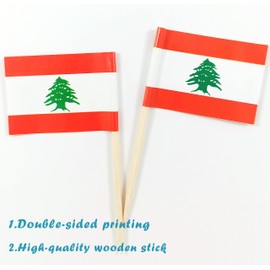 JBCD Lebanon Toothpick Flag Lebanese Mini Small Cupcake Topper Flags (200 pcs)