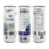 CELSIUS ASTRO VIBE Sparkling Blue Razz, Sugar Free Energy Drink,