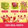 BOB SNAIL Healthy Organic Fruit Snacks for Kids and Adults