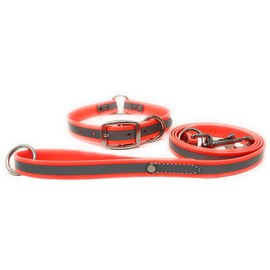Regal Dog Products Small Orange Reflective Dog Collar and Leash Set - Waterproof Biothane Dog Collar with Heavy Duty D Ring, Center Ring & 5'ft Leash for Training - Other Sizes for Medium & Large Dogs
