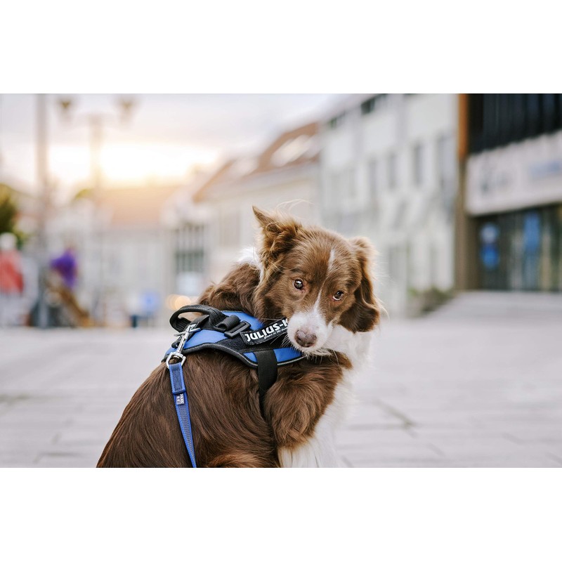 Interchangeable Patches, 1 pair, BODYGUARD, Size: Large, Black