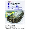 DAIDOHANT 10185015 Clear Umbrella Nails, For Wooden Bases, (Nominal Diameter