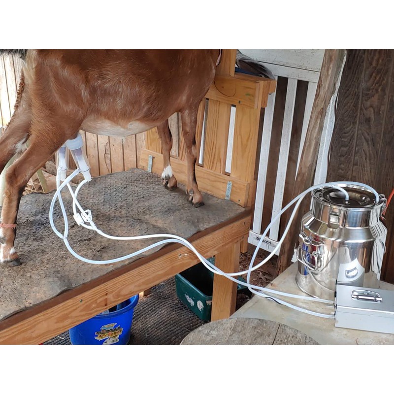 Hantop Pulsating Vacuum Pump Compatible with Hantop Milking Machine (Plug-in)