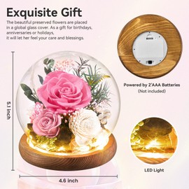 Flomoon Preserved Flowers in Glass Ball with Led Strip 2-Piece Forever Real Roses Gift for Women on Anniversary Christmas Valentine's Day (Pink)
