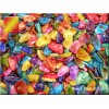 Florida Shells and Gifts 4 oz (400) Tiny Dyed Coquina