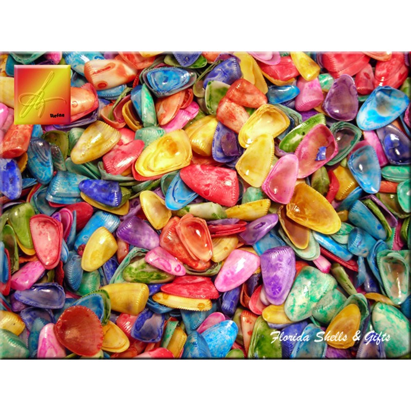 Florida Shells and Gifts 4 oz (400) Tiny Dyed Coquina
