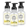 J.R. Watkins Foaming Hand Soap with Pump Dispenser, Moisturizing Foam