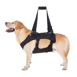 Dog Lift Harness, Rehabilitation Lifts Vest for Dogs, Support & Recovery Sling, Adjustable Breathable Lifting Straps for Old, Joint Injuries, Arthritis, Paralysis Dogs Walk (S, Black)