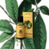 ACEITE ESENCIAL LITSEA CUBEBA 30 ML. GRADO TERAPEUTICO