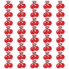 40PCS Mini Cherry Shape Iron on Patches, Fruit Theme Embroidered
