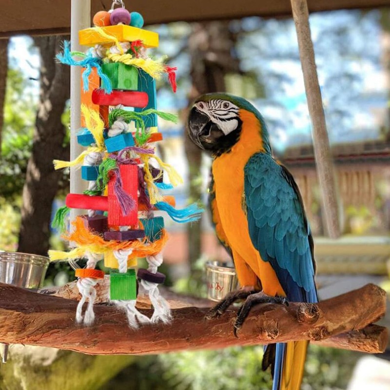YFFSFDC Parakeet, Parrot Toy, For Birds, Stress Relief, Exercise, Large,