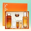 Sulwhasoo Concentrated Ginseng Renewing 2 Type Special Set / 설화수