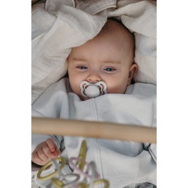 BIBS Pacifiers - Supreme Collection | BPA-Free Baby Pacifier | Made in Denmark | Set of 2 Sage Color Premium Soothers | Size 6-18 Months