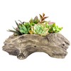 Aclema Succulent Planters Driftwood Planter Succulent Pots Small Plant Flower