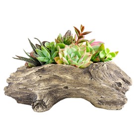 Aclema Succulent Planters Driftwood Planter Succulent Pots Small Plant Flower Cactus Pots Tree Stumb Wood Planter with Drainage Hole