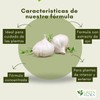 Jabón Potásico con Extracto de Ajo para Plantas