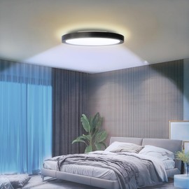 NOVELUX Flush Mount Ceiling Light Fixture - ETL Certified - 12 inch Dimmable 5000K with 5W LED Night Light Fixture for Living Room, Dining Room, Kitchen, Bedroom, Bathroom, Balcony (1-Pack)‌