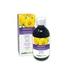 Dandelion (Taraxacum officinale) Roots and Leaves Alcohol-Free Mother Tincture Naturalma