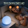 Little Rawr Baby Night Light with Lullaby Music, Portable Nursery