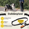 Hundefreund Jogging Lead for Large Dogs from 15 kg, Elastic