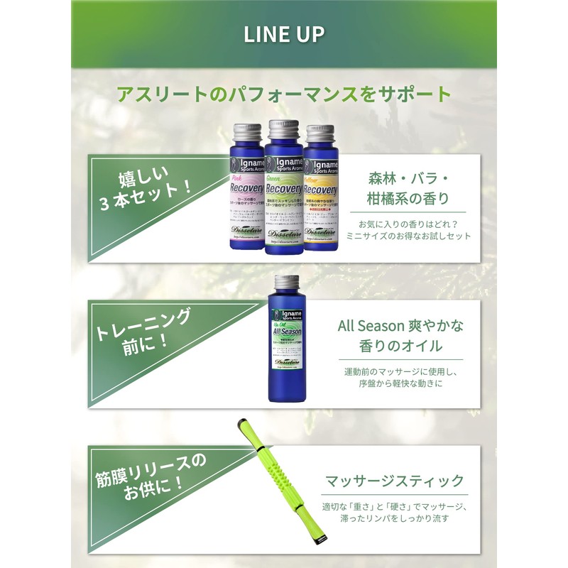 Aroma (Recovery System) [Iname Sports Aroma] Recovery Forestry Scent (100%