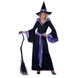 California Costumes Glamour Witch Incantasia Costume Large Black