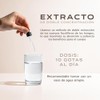 PHI FUNGI | Phungestive | Extracto de Cola de Pavo