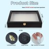 IHEIPYE Insect Display Case Bug Display Collection Box Large Black