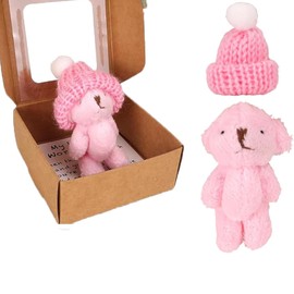 SOMUSICTY Worry Bear Little PocketBear Hug in a Box Mini Stuffed Worry Bear in a Box Positive Christmas Birthday Gifts for Kids Children Women Lover Friend Couple (PINK)