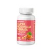 NATURION Super Boswellia Serrata with G-FOS - 98% Boswellic Acid