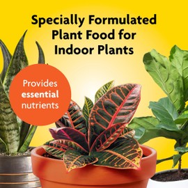 Miracle-Gro Indoor Potting Mix (6 qt.) and Indoor Plant Food (8 oz.) - Bundle for Growing and Fertilizing Houseplants