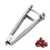 1 Pcs Stainless Steel Handheld Multi-Purpose Pitter – Removes Pits