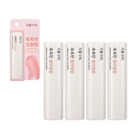 Plantnara Color Lip Balm Coral Honey Ginger Extract Moisturizing Colorful Lip Balm 3.5g 4pcs / 식물나라 컬러립밤 코랄 꿀 생강추출물 보습 발색 립밤 3.5g 4개