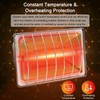 Winter Chicken Coop Heater,Waterproof Heating Lamp for Chicks Ducks Pets