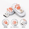 Bilious USB Memory, Cute Animal Claws, Flash Memory, Small, Large