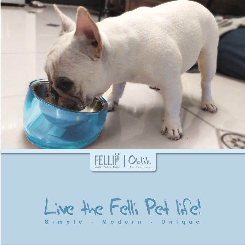 Felli Pet Oblik Slanted Dog Food Water Bowl Elevated Stainless