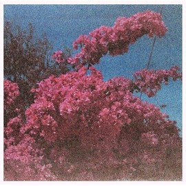 PICTURE A FRAME (WHITE VINYL)