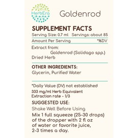 Goldenrod B60 Alcohol-Free Herbal Extract Tincture, Super-Concentrated Goldenrod (Solidago spp.) Dried Herb (2 fl oz)