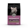 MAINTENANCE CAT 2.72 KILOS