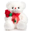 HollyHOME - Oso de peluche (30,5 cm), diseño de oso