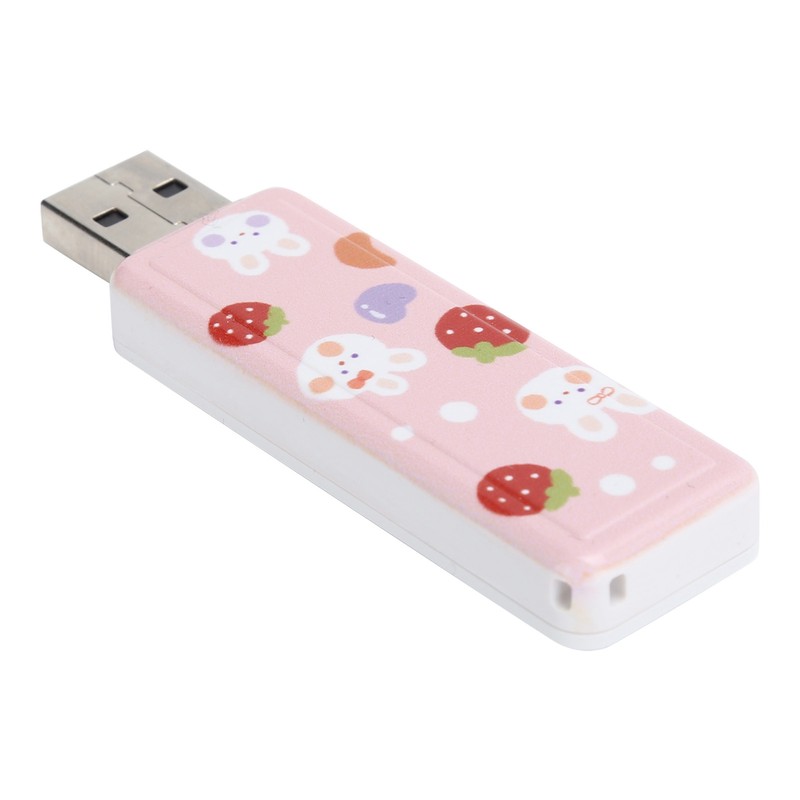 U Disk PushPull USB2.0 Memory Car Flash Drive Computer Accessories