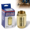 Deargooday 1 1/4" Check Valve Female Pipe Thread One Way